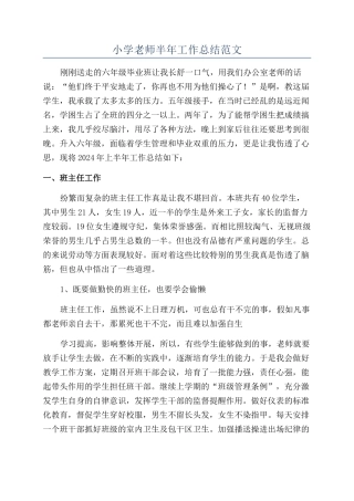 小学老师半年工作总结范文