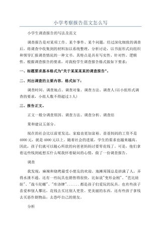 小学考察报告范文怎么写