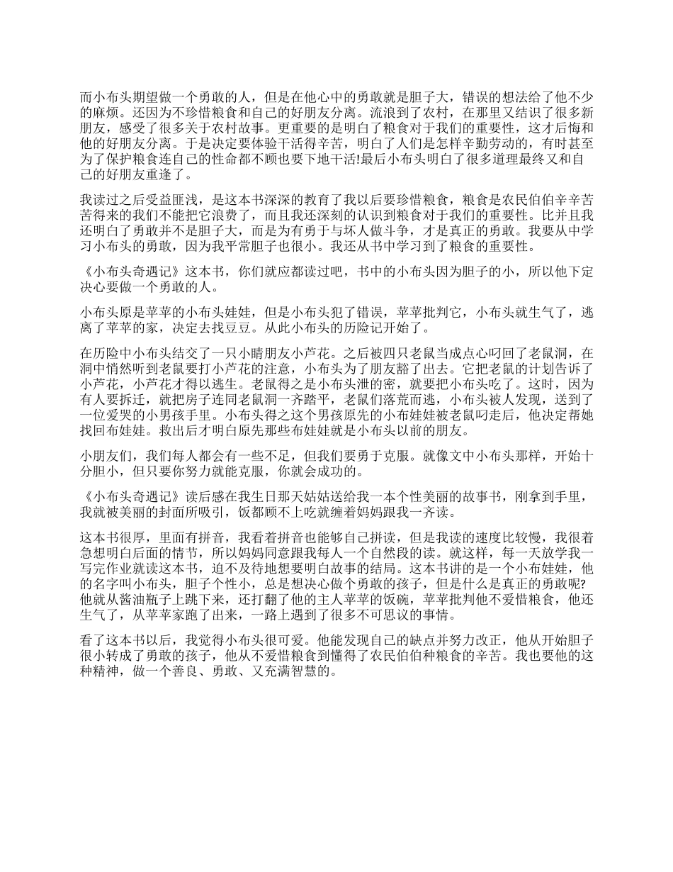 小布头奇遇记读后感_第1页