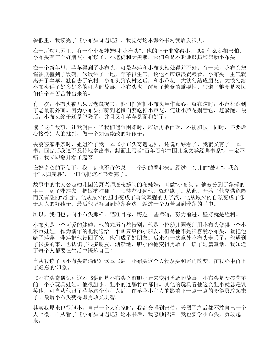 小布头新奇遇记读后感_第1页