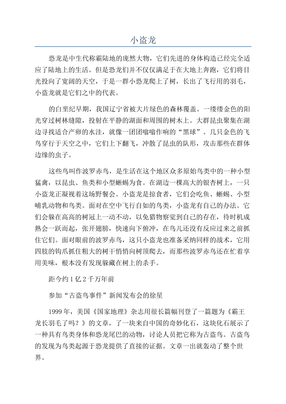 小盗龙-精品文档_第1页