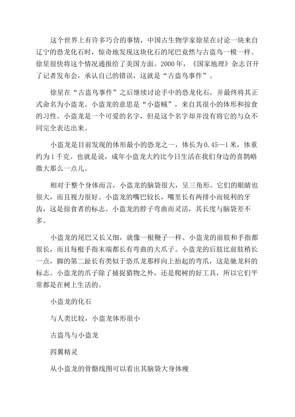 小盗龙-精品文档_第2页