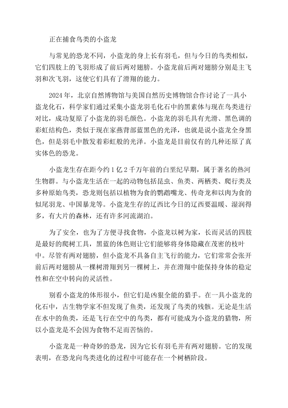 小盗龙-精品文档_第3页