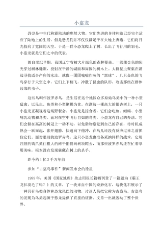 小盗龙-精品文档