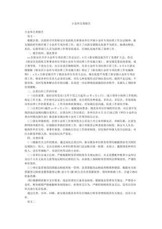 小金库自查报告