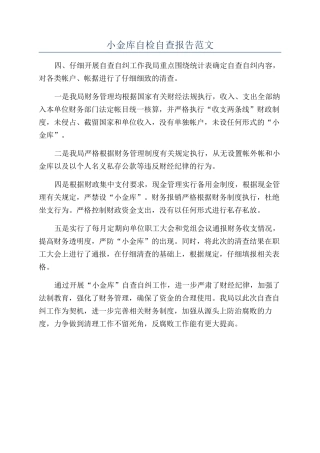 小金库自检自查报告范文