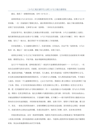 小马王观后感简短