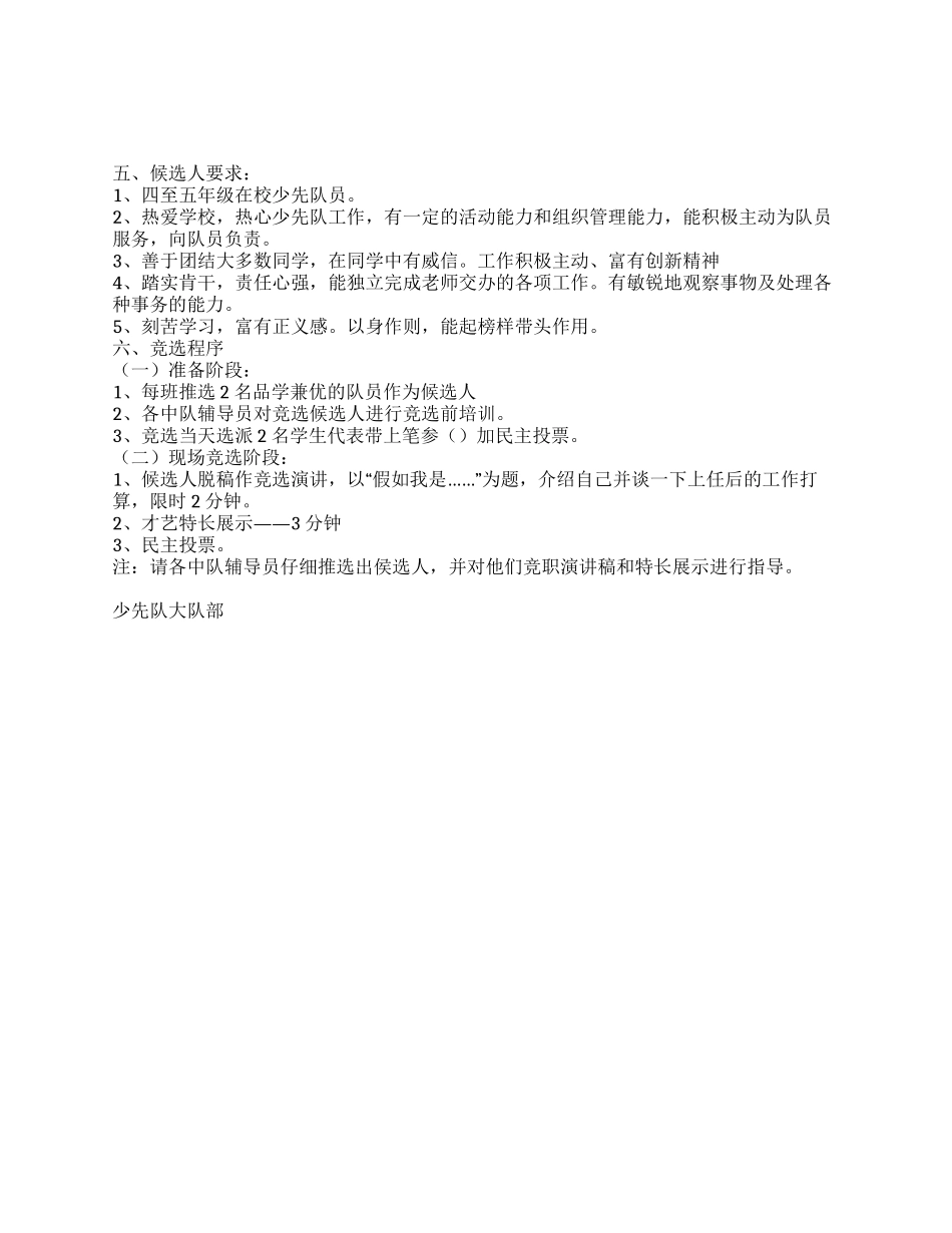 少先队大队干部竞选方案_第1页