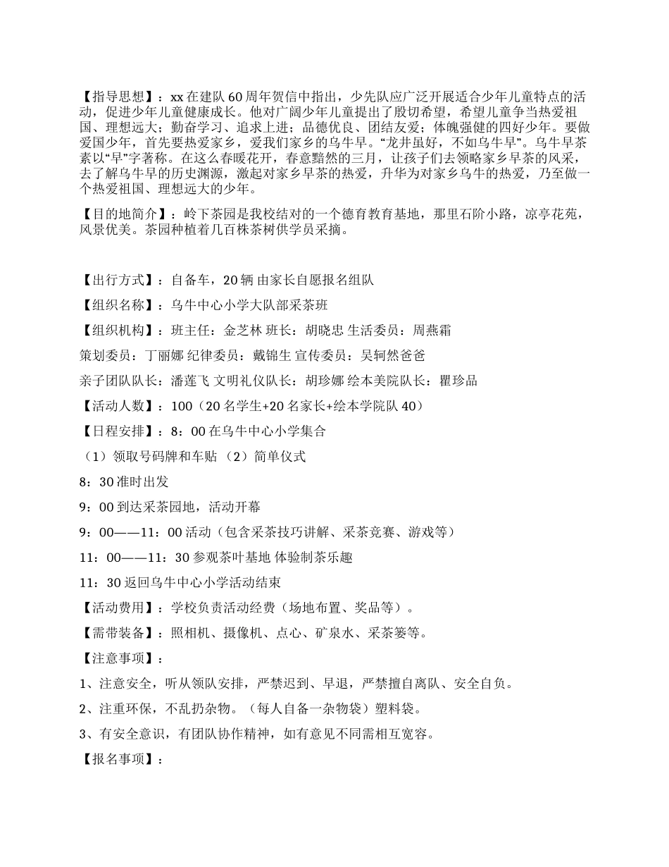 少先队实践活动方案_第1页