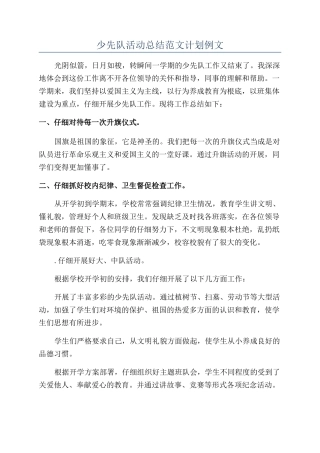 少先队活动总结范文计划例文