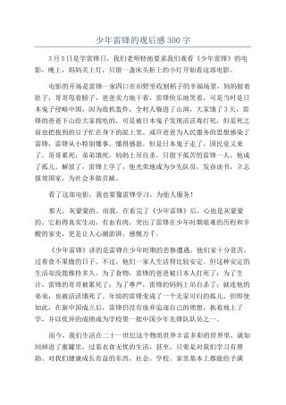 少年雷锋的观后感300字