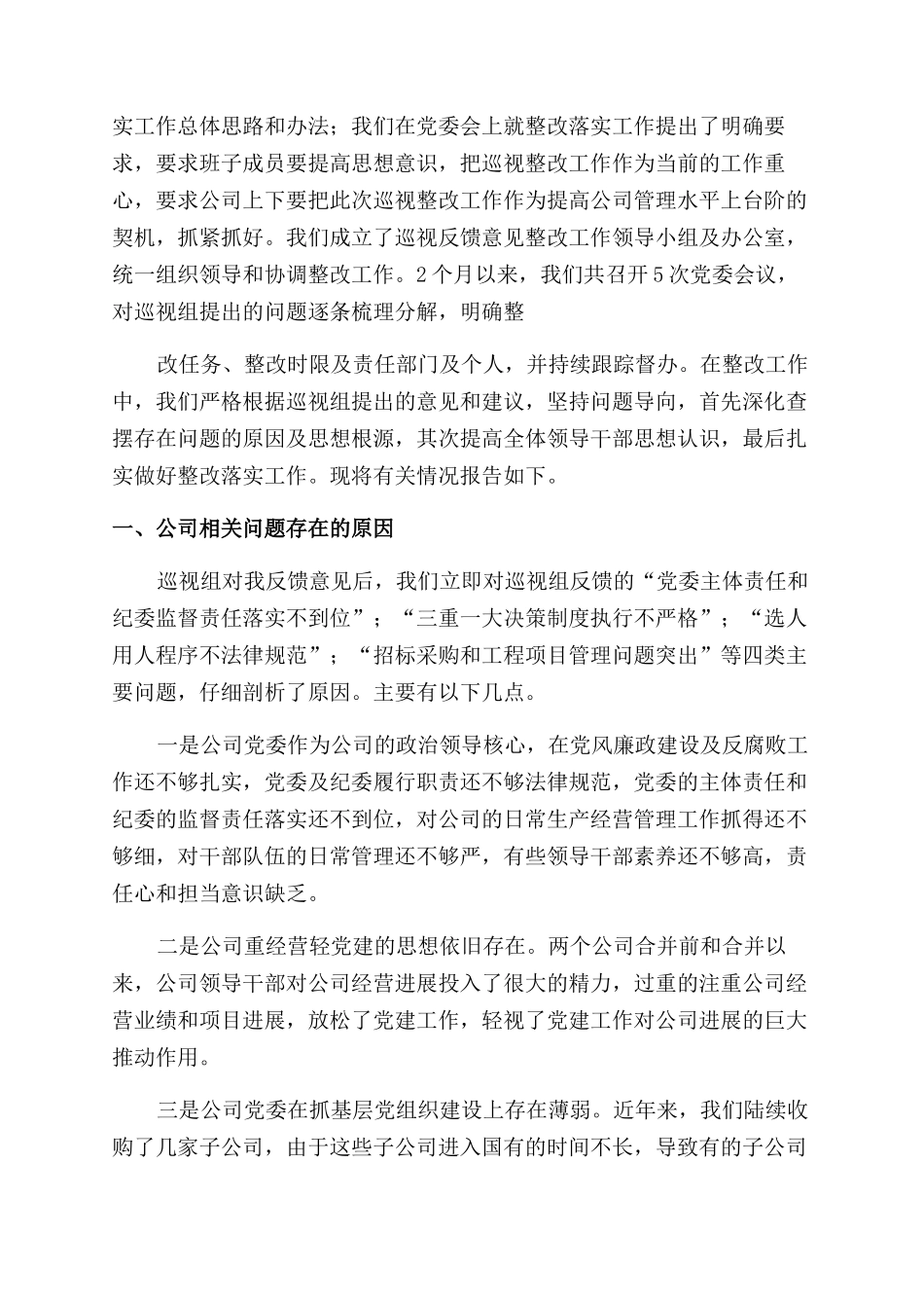 巡视报告范文作用_第3页