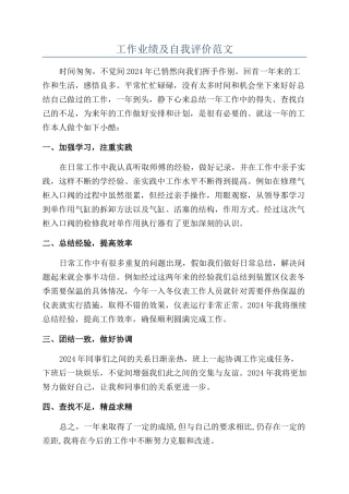 工作业绩及自我评价范文