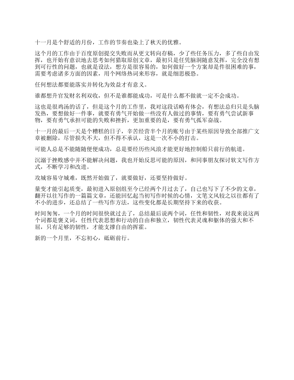 工作总结怎么写2024十一月工作总结_第1页