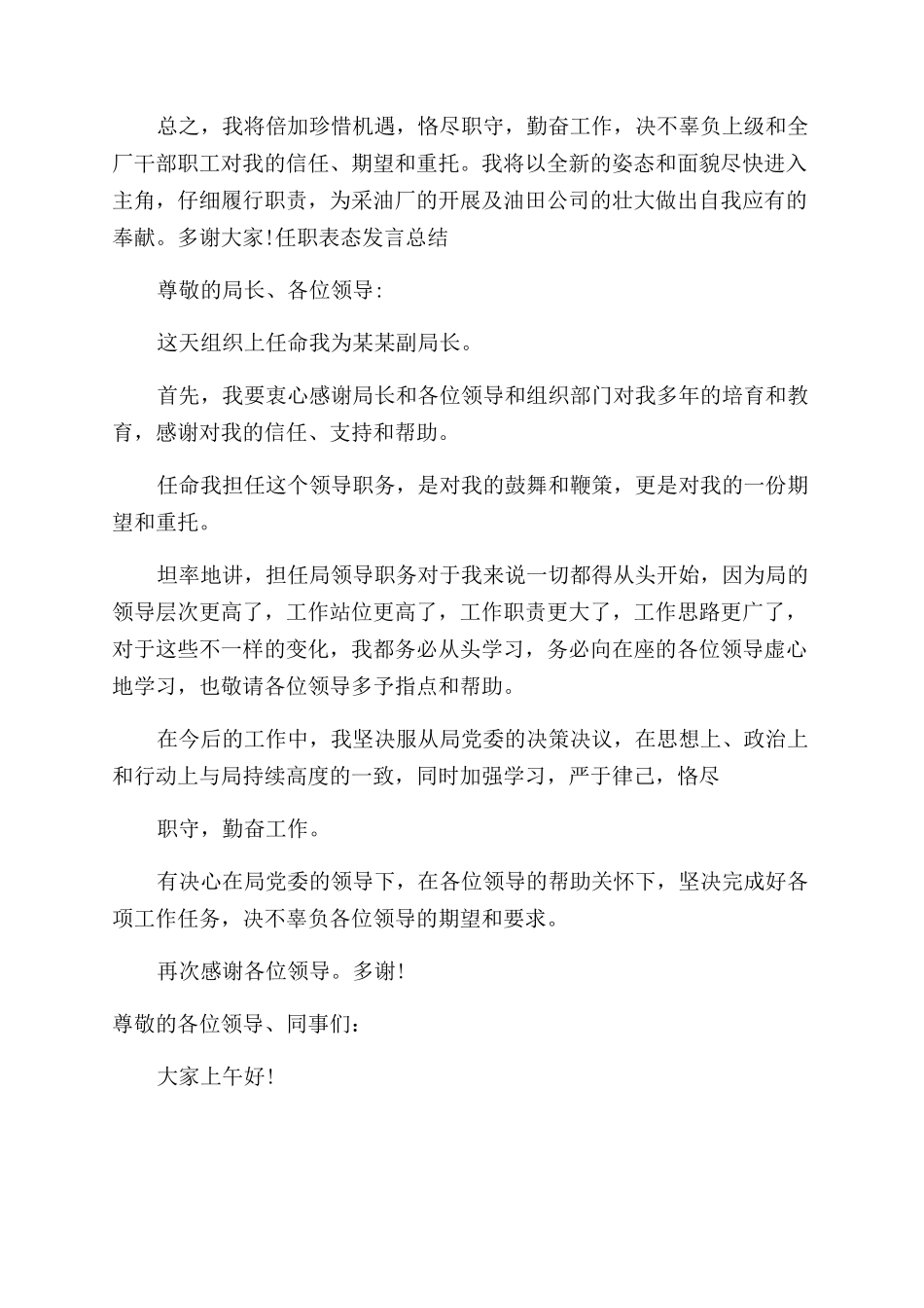 工作总结范文任职表态发言总结范文_第2页