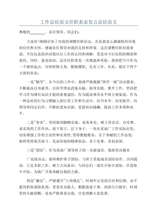 工作总结范文任职表态发言总结范文