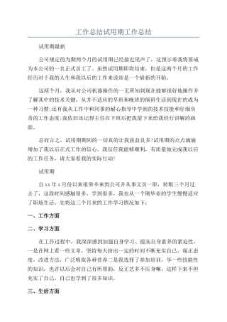 工作总结试用期工作总结