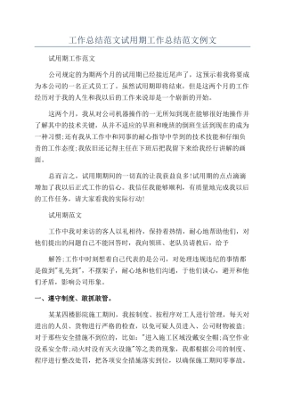 工作总结范文试用期工作总结范文例文