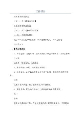工作报告-精品文档