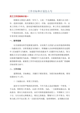 工作目标和计划怎么写