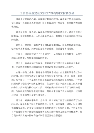 工作自我鉴定范文例文700字例文材料投稿