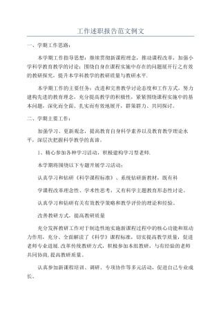 工作述职报告范文例文