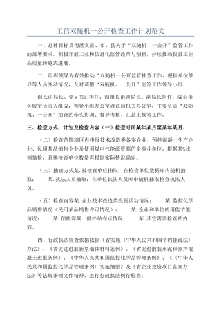 工信双随机一公开检查工作计划范文