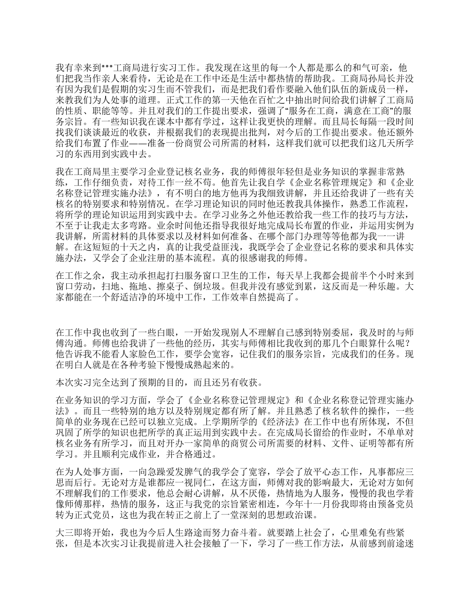 工商局个人实习报告总结_第1页