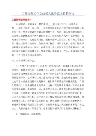 工程检测工作总结范文报告范文投稿例文
