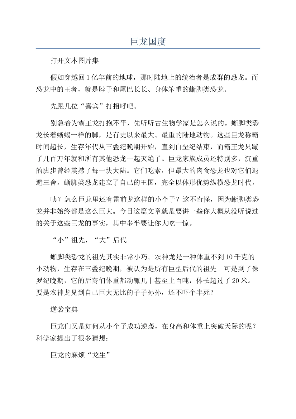 巨龙国度-精品文档_第1页