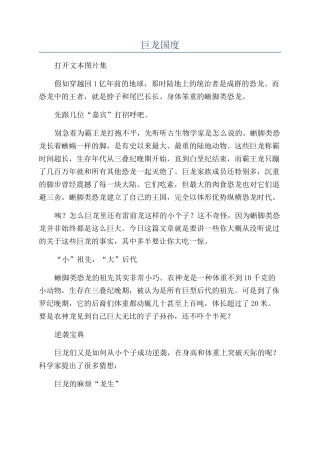 巨龙国度-精品文档