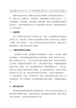 市商务局2024年上半年网络信息安全工作自查总结范文