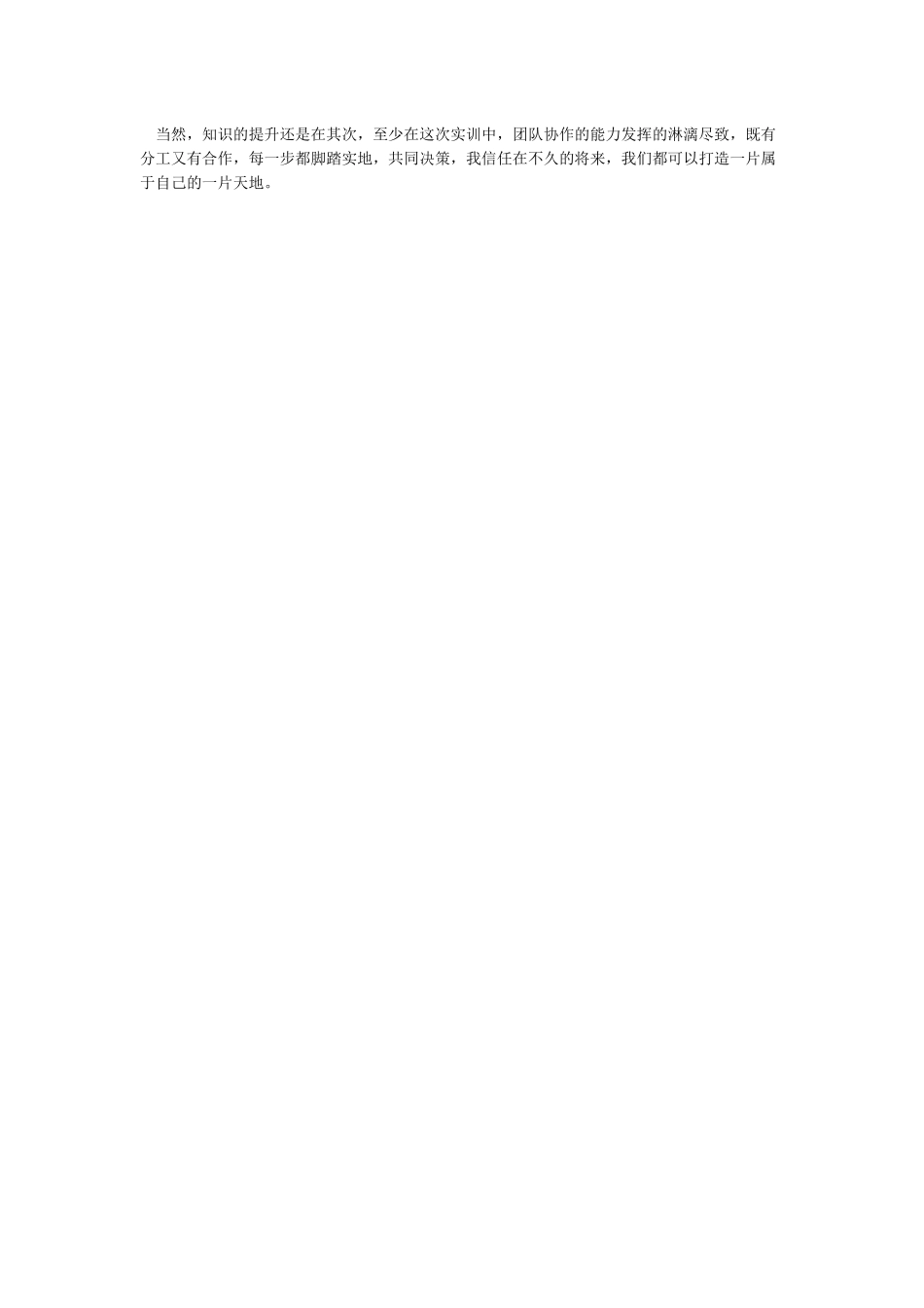 市场营销沙盘实训心得体会_第2页