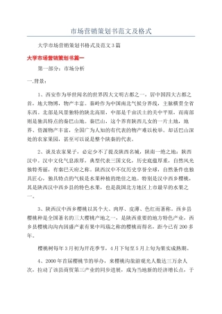 市场营销策划书范文及格式