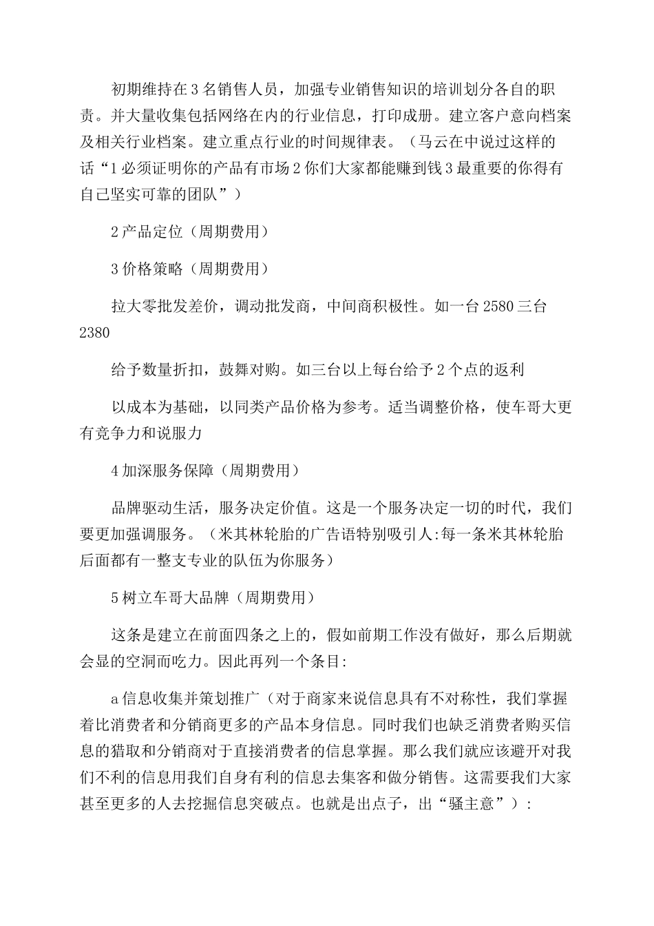市场营销项目实施策划方案范文_第2页