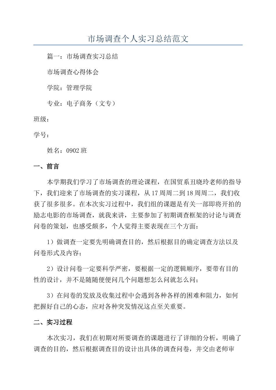 市场调查个人实习总结范文_第1页