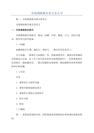 市场调研报告范文怎么写