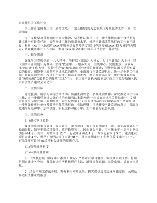 市审计机关工作计划