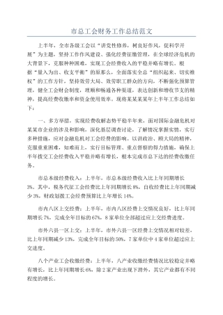 市总工会财务工作总结范文