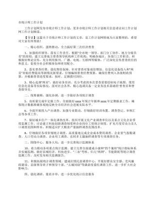 市统计师工作计划