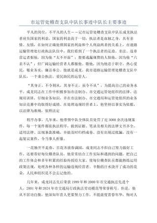 市运管处稽查支队中队长事迹中队长主要事迹