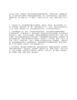 希望小学副校长述职报告