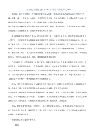 带给我力量作文800