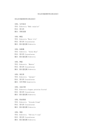 常见多肉植物种类名称及简介
