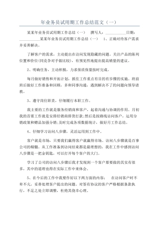 年业务员试用期工作总结范文（一）