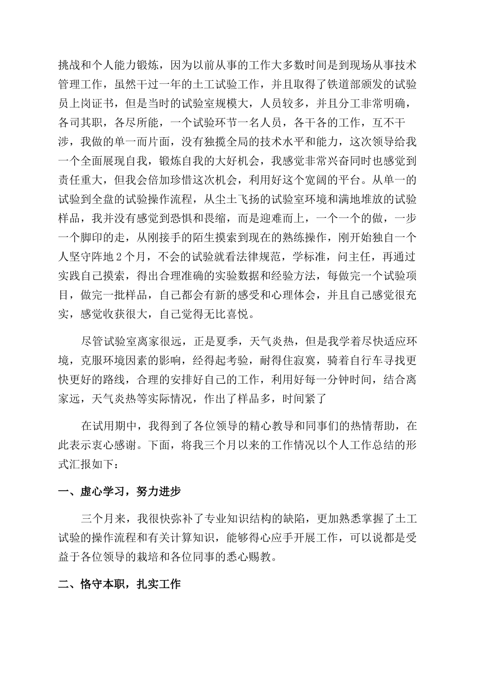 年个人试用期工作总结范文_第2页