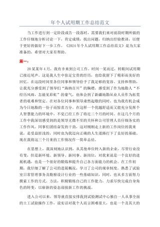 年个人试用期工作总结范文