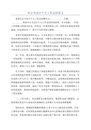 年公司会计个人工作总结范文