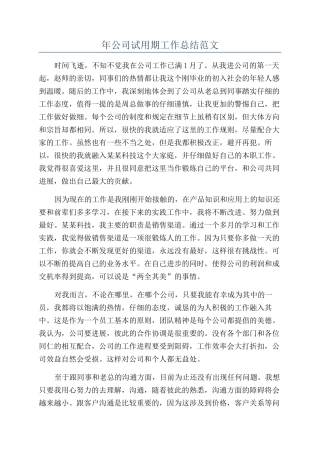 年公司试用期工作总结范文