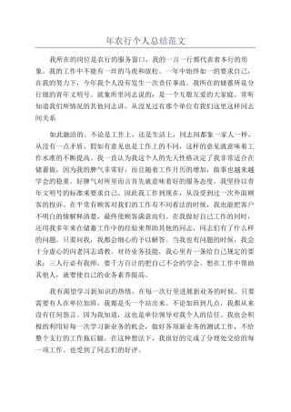 年农行个人总结范文